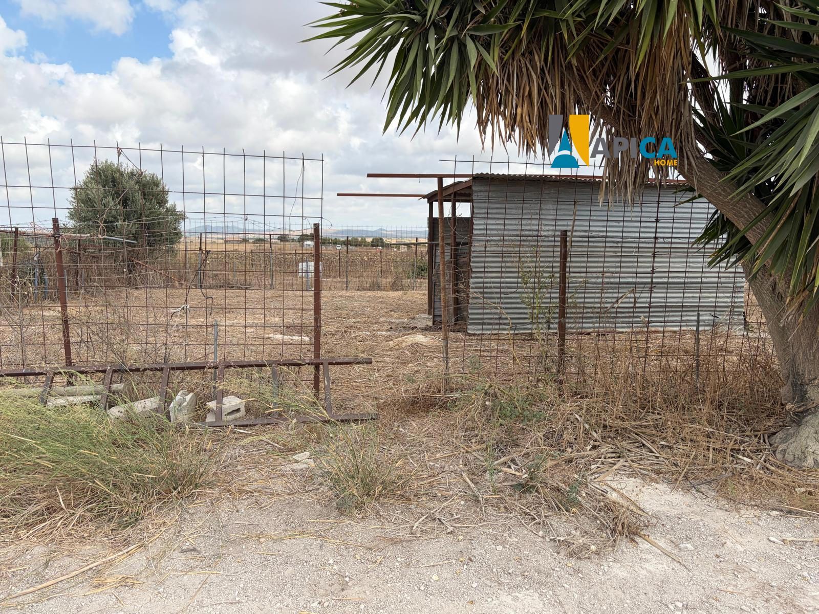 🏡 ¡ PARCELA DE 3.769 m² CON POZO Y CUARTO DE APEROS EN EL PAGO EL CUARTILLO (CHICLANA)! - Foto 3