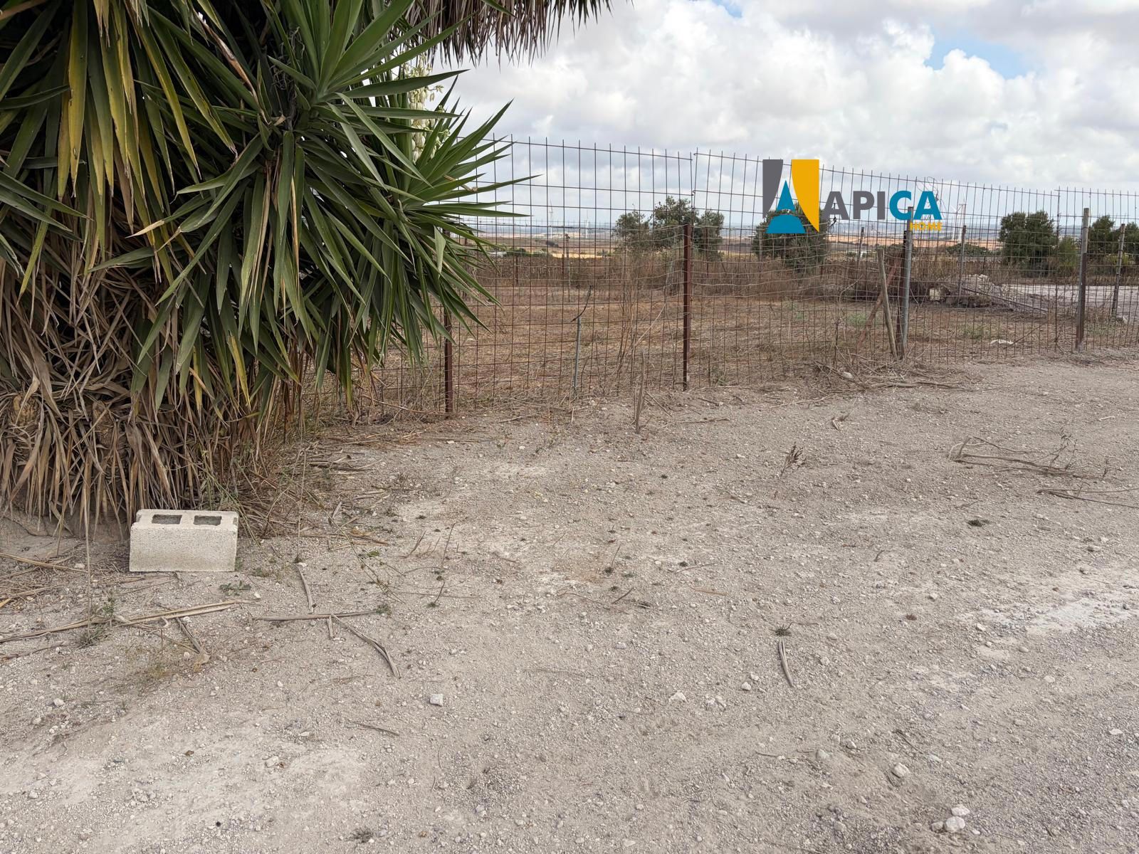 🏡 ¡ PARCELA DE 3.769 m² CON POZO Y CUARTO DE APEROS EN EL PAGO EL CUARTILLO (CHICLANA)! - Foto 4