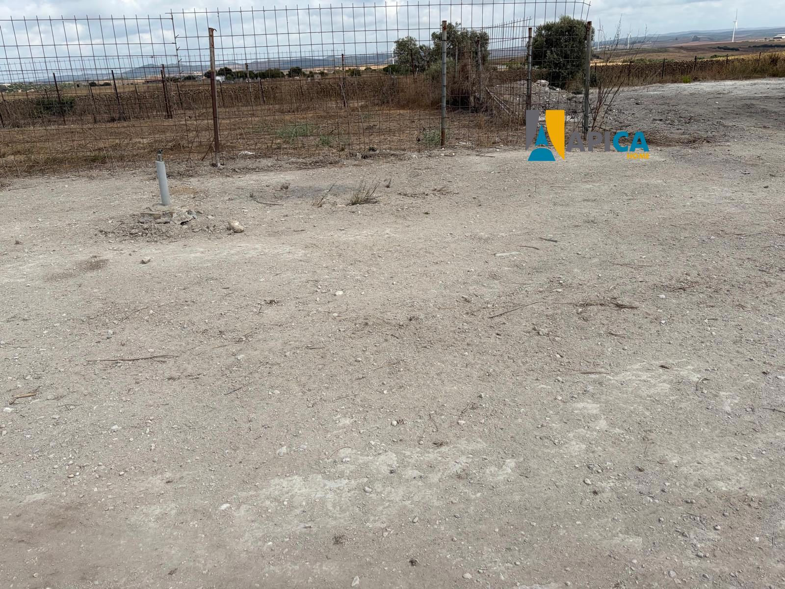 🏡 ¡ PARCELA DE 3.769 m² CON POZO Y CUARTO DE APEROS EN EL PAGO EL CUARTILLO (CHICLANA)! - Foto 5