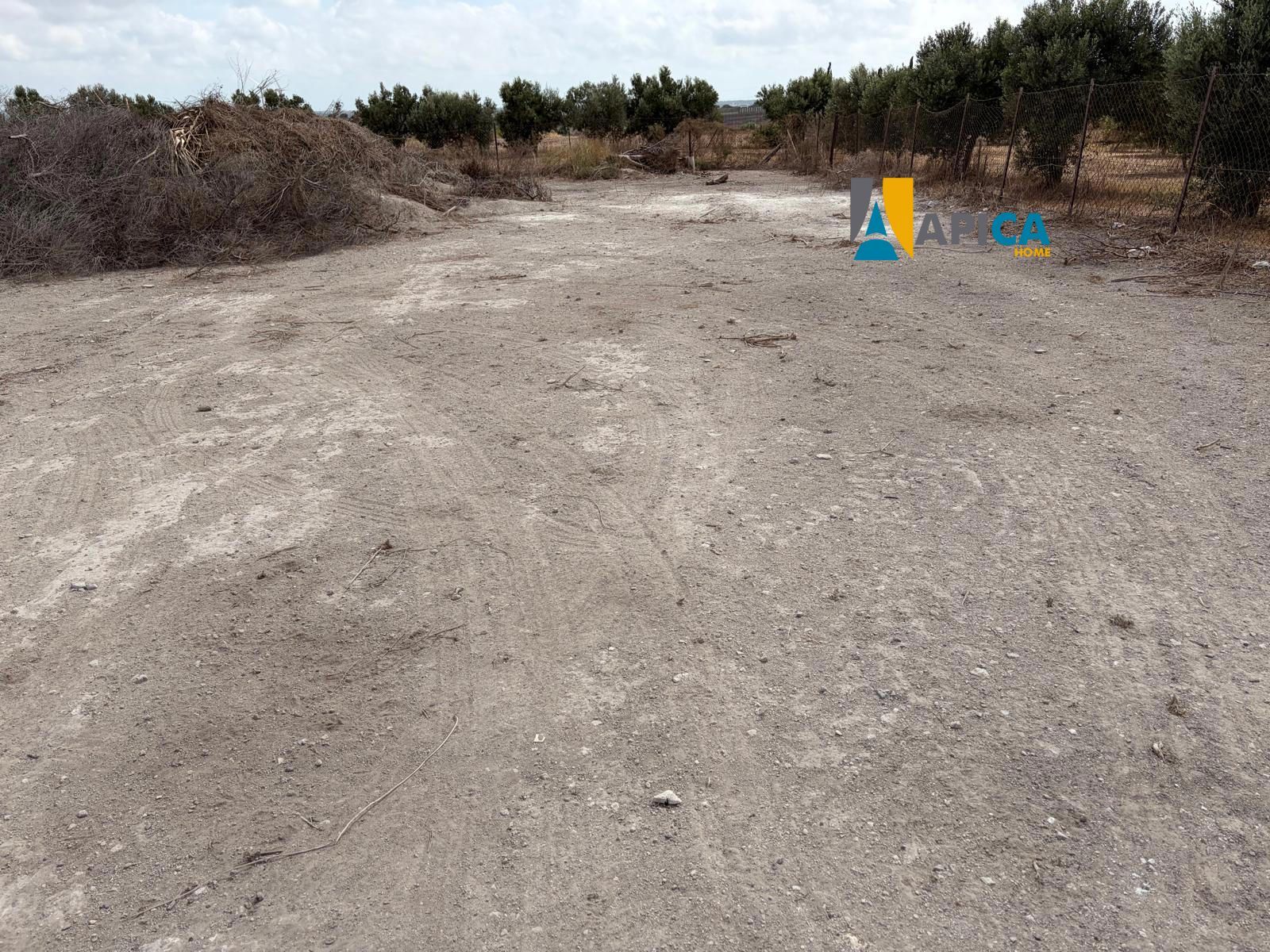 🏡 ¡ PARCELA DE 3.769 m² CON POZO Y CUARTO DE APEROS EN EL PAGO EL CUARTILLO (CHICLANA)! - Foto 6