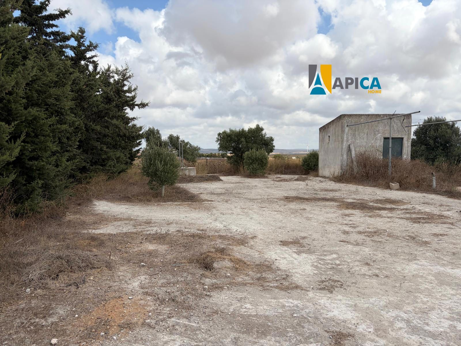 🏡 ¡ PARCELA DE 3.769 m² CON POZO Y CUARTO DE APEROS EN EL PAGO EL CUARTILLO (CHICLANA)! - Foto 7
