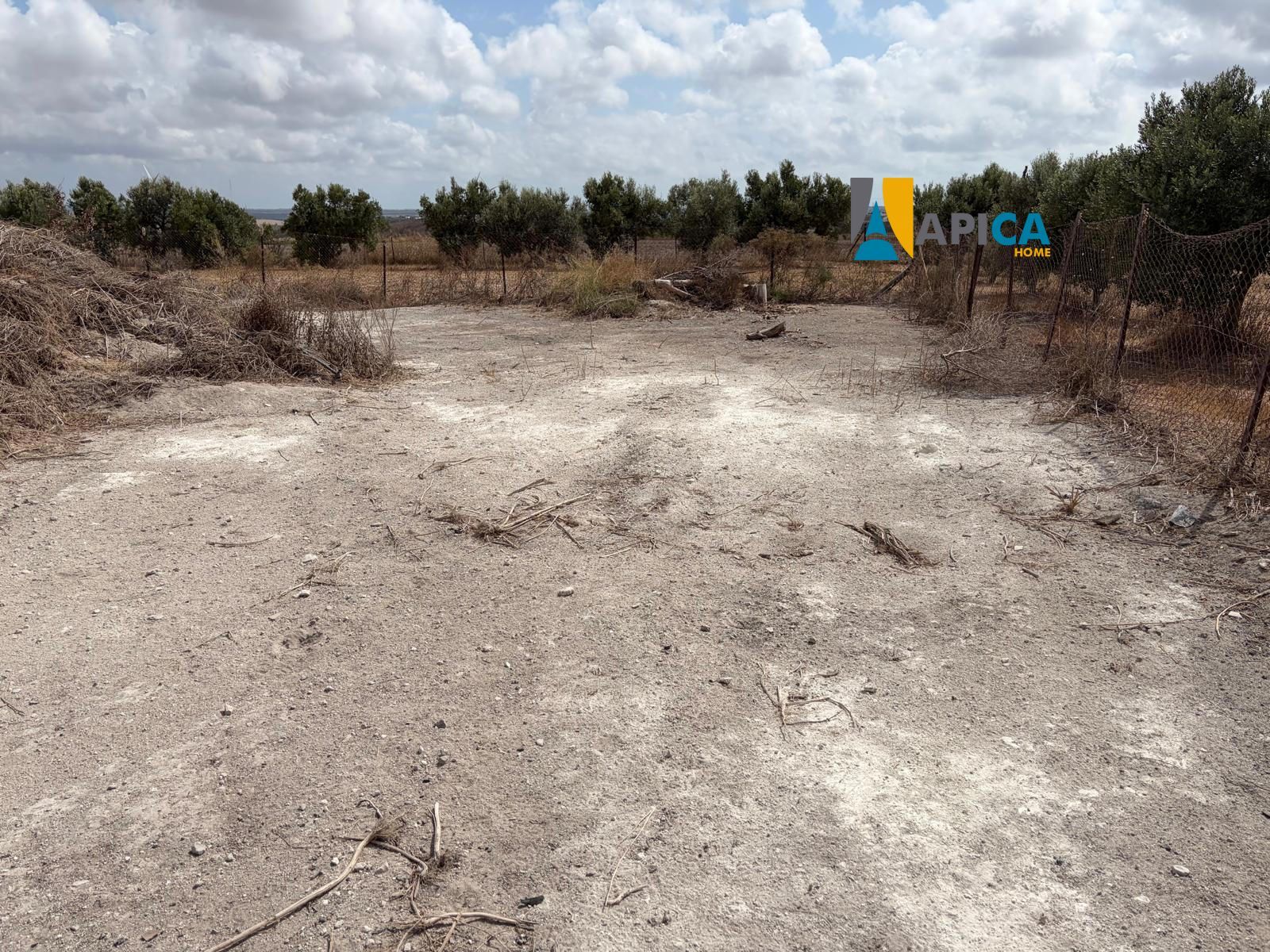 🏡 ¡ PARCELA DE 3.769 m² CON POZO Y CUARTO DE APEROS EN EL PAGO EL CUARTILLO (CHICLANA)! - Foto 8
