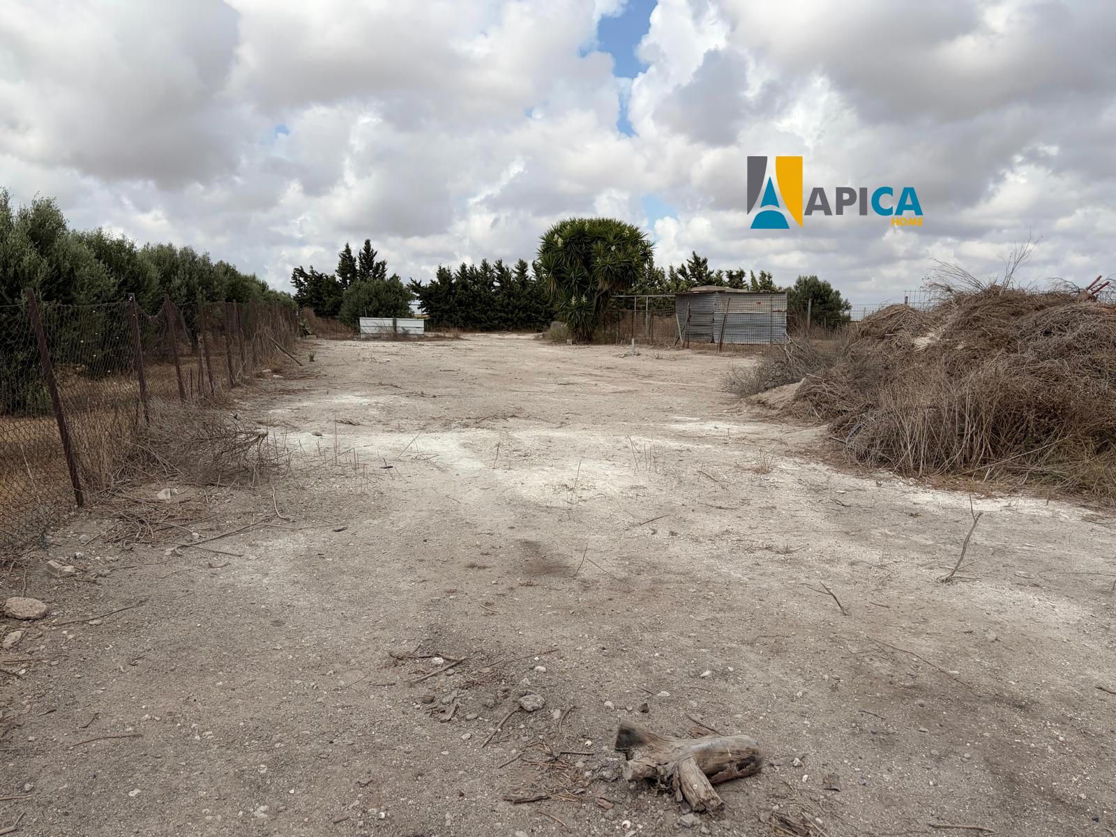 🏡 ¡ PARCELA DE 3.769 m² CON POZO Y CUARTO DE APEROS EN EL PAGO EL CUARTILLO (CHICLANA)! - Foto 11
