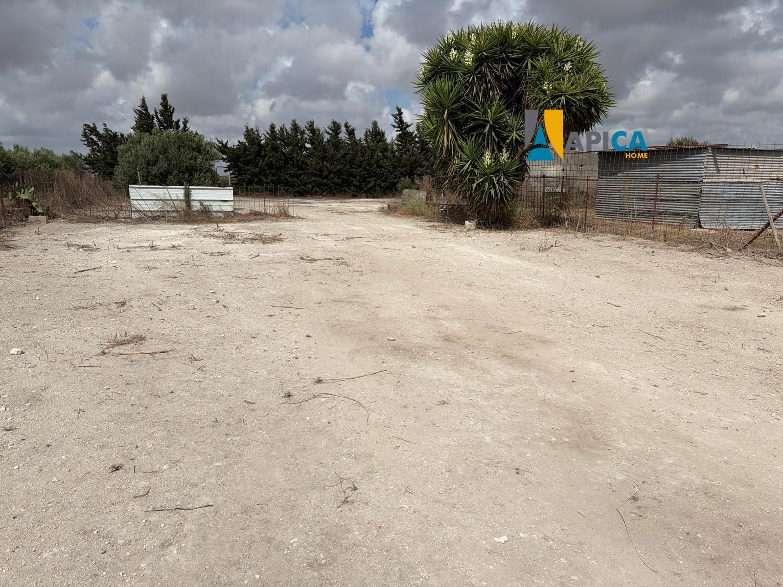 🏡 ¡ PARCELA DE 3.769 m² CON POZO Y CUARTO DE APEROS EN EL PAGO EL CUARTILLO (CHICLANA)! - Foto 12