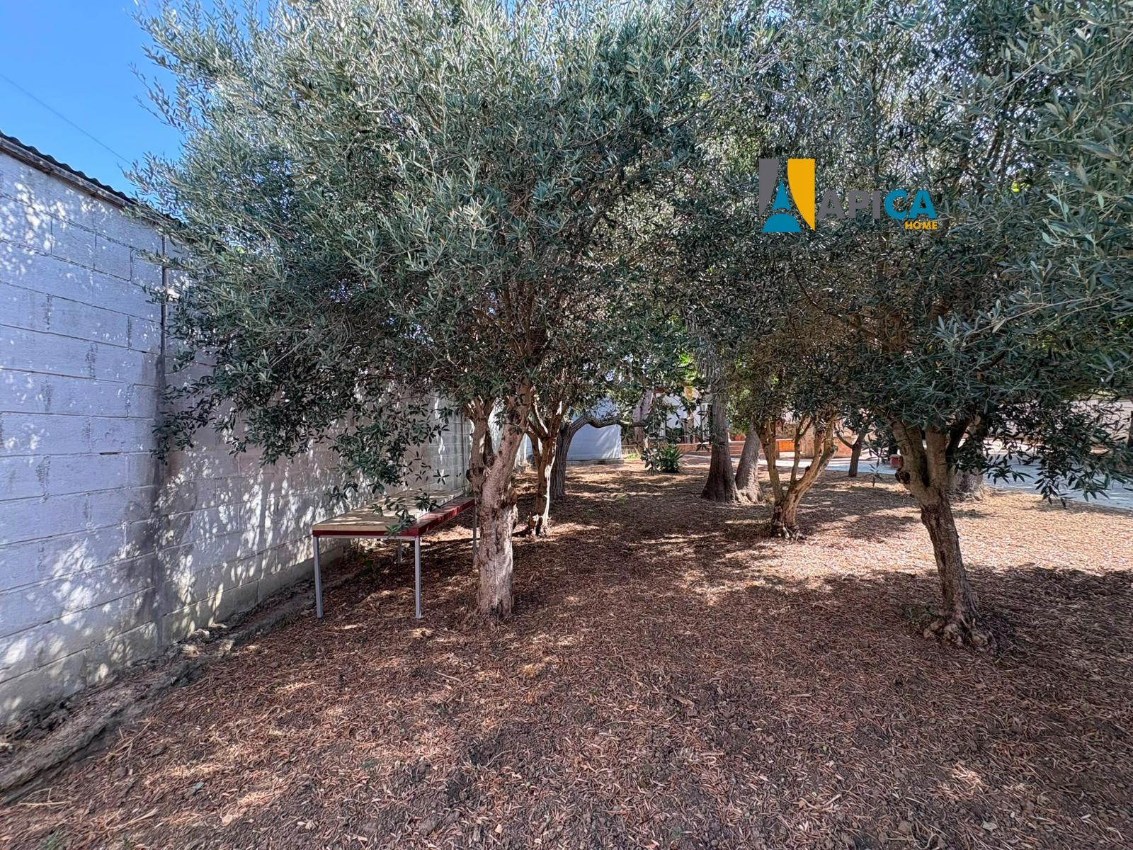 🏡 ¡GRAN CHALET CON CASA DE INVITADOS Y 1.400 m² DE PARCELA EN MARQUESADO / CAÑADA PICAPOLLOS! - Foto 14