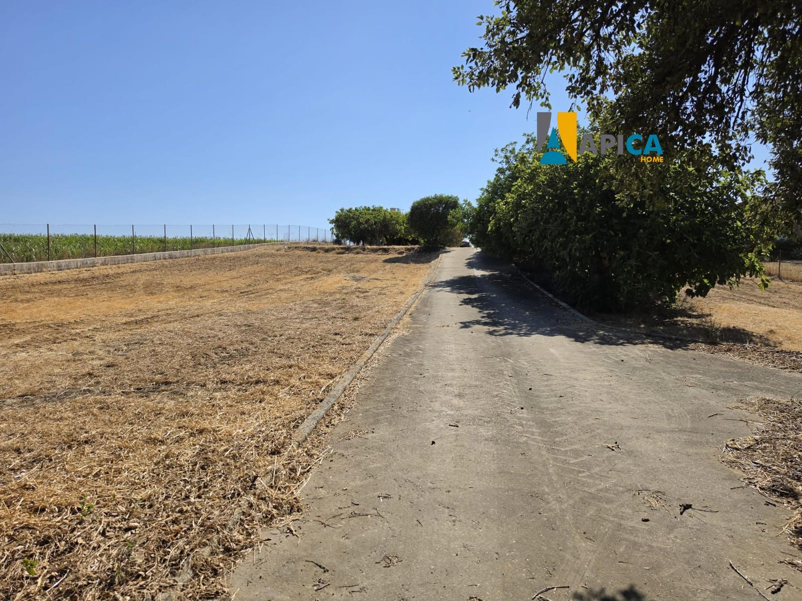 🏡 ¡CASA DE CAMPO CON 6.500 m² DE TERRENO EN CAMILA! - Foto 21