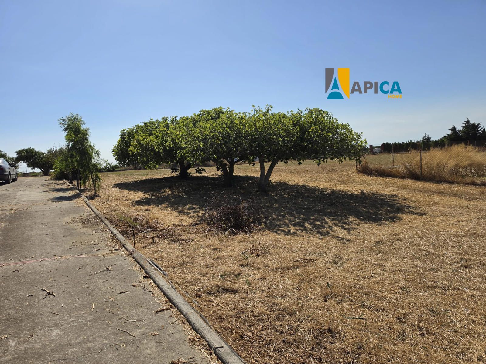 🏡 ¡PARCELA SEGREGADA DE 2.000 m² EN ZONA CAMILA, CHICLANA! - Foto 5