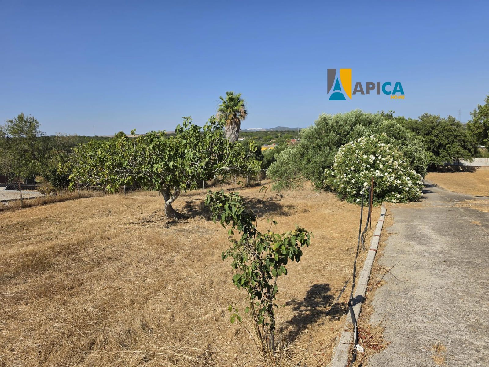 🏡 ¡PARCELA SEGREGADA DE 2.000 m² EN ZONA CAMILA, CHICLANA! - Foto 10