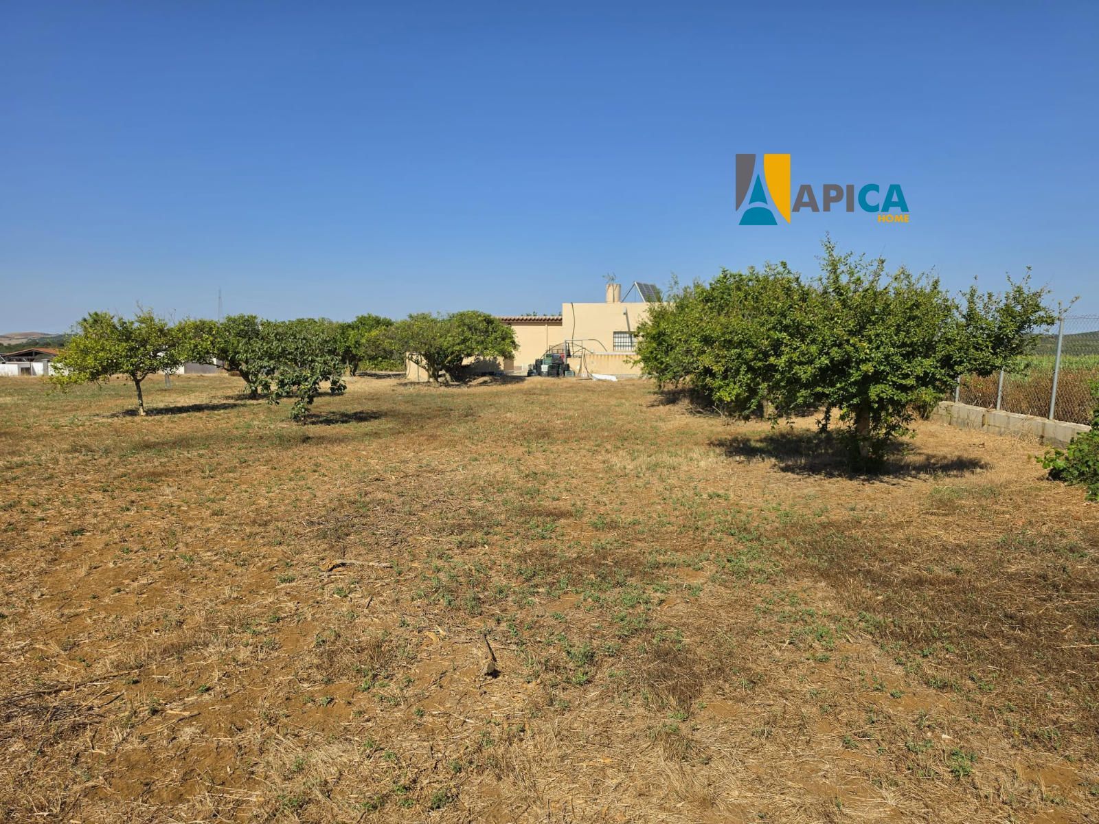 🏡 ¡CASA DE CAMPO CON 4.500 m² DE TERRENO SEGREGADO EN CAMILA! - Foto 4