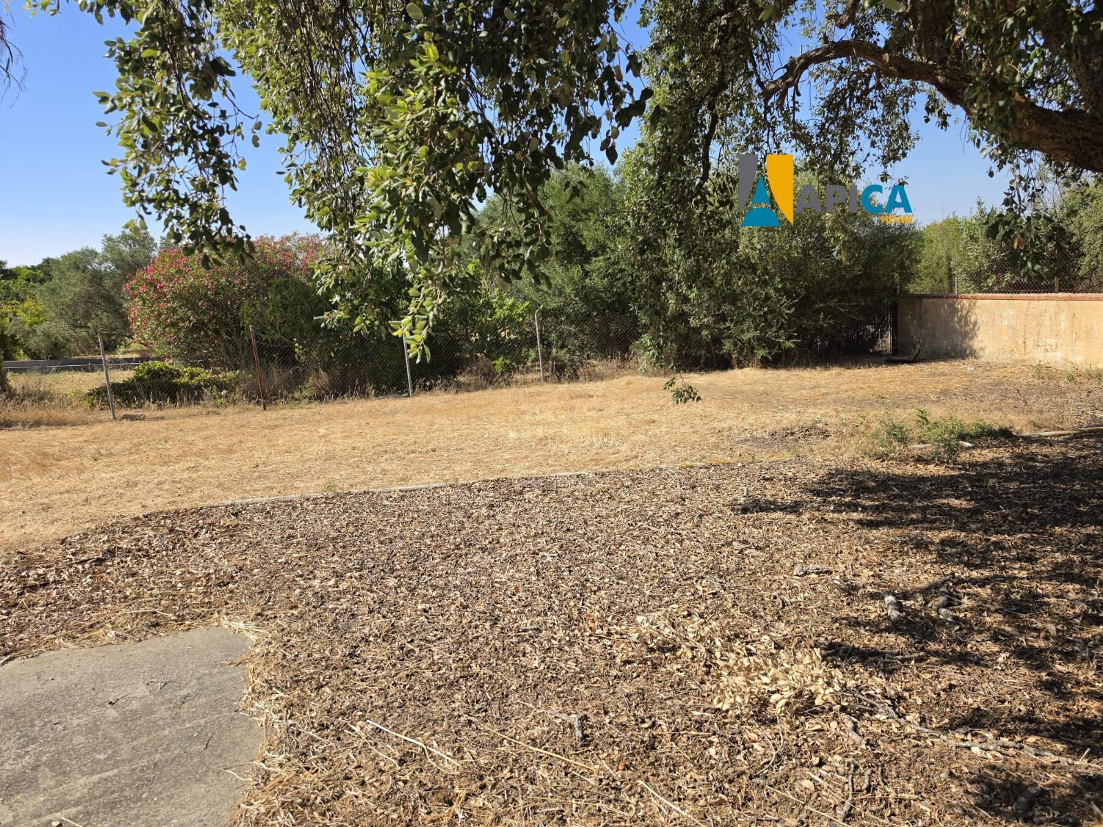 🏡 ¡CASA DE CAMPO CON 4.500 m² DE TERRENO SEGREGADO EN CAMILA! - Foto 5