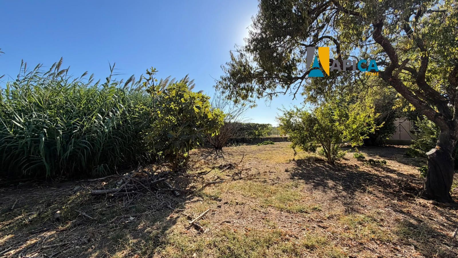 🏡 ¡CHALET DE 77 m² EN PARCELA SEGREGADA DE 1.000 m² EN PINAR DE LOS FRANCESES (CHICLANA)! - Foto 6