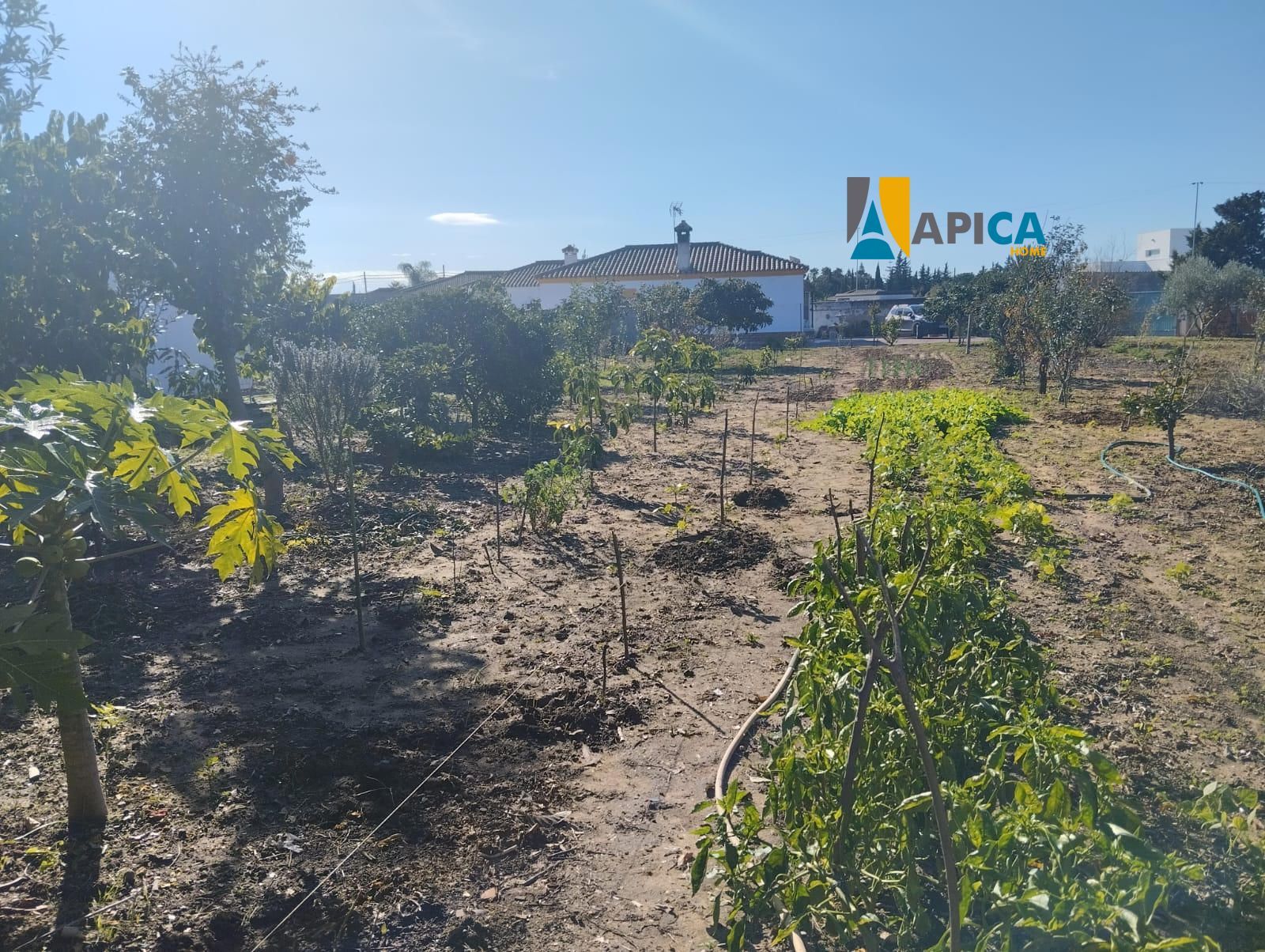 Chalet Independiente en venta Chiclana de la Frontera, Cádiz. Ref: 2177. Apica Home