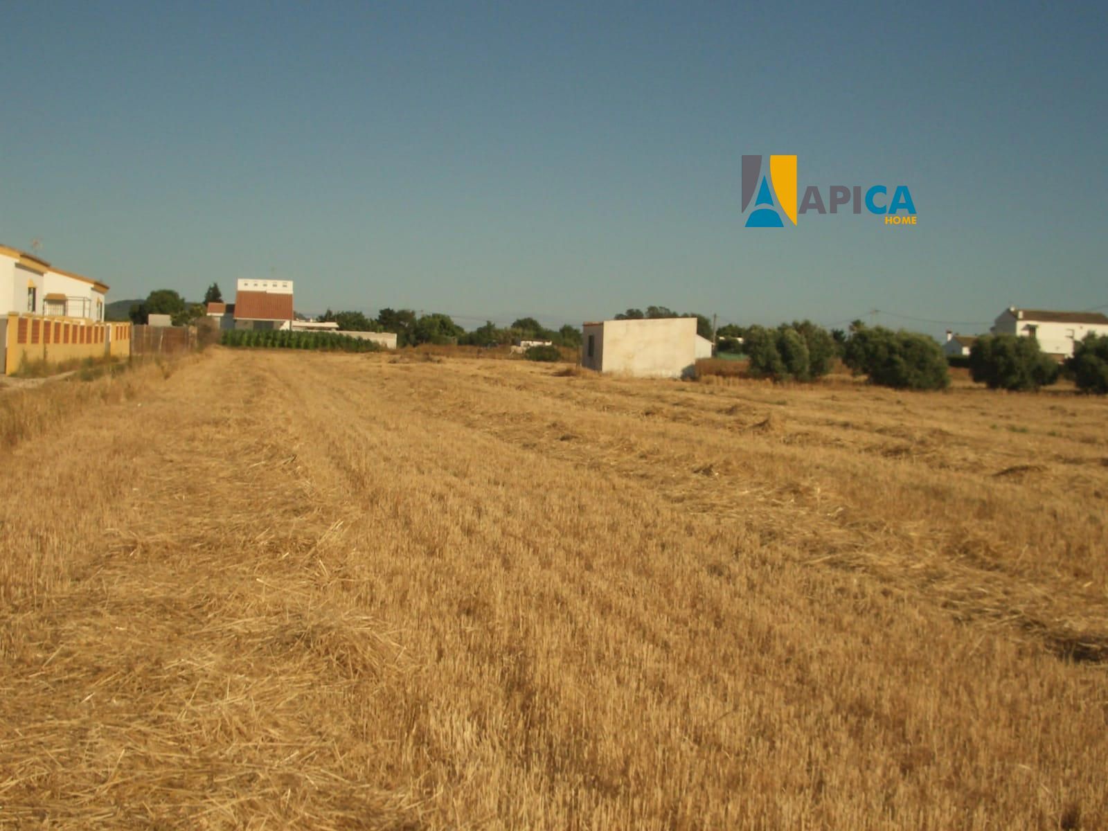 Parcela en venta El Palmar, Cádiz. Ref: 7587. Apica Home