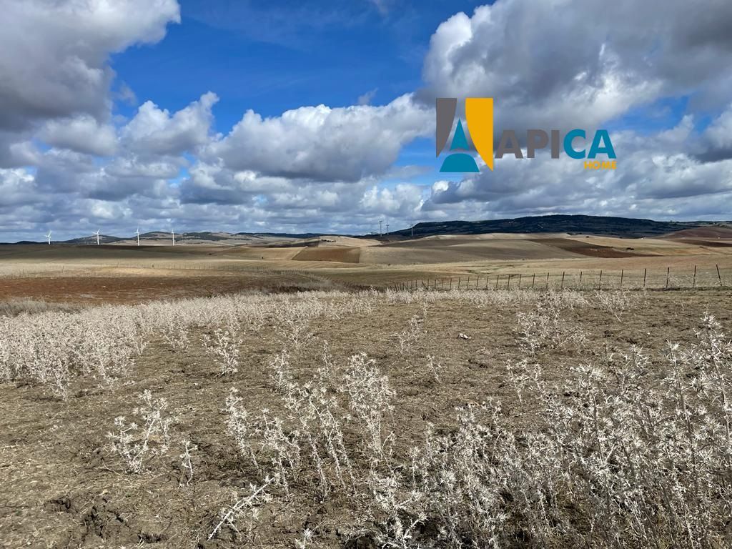 Parcela en venta Vejer de la Frontera, Cádiz. Ref: 8290. Apica Home