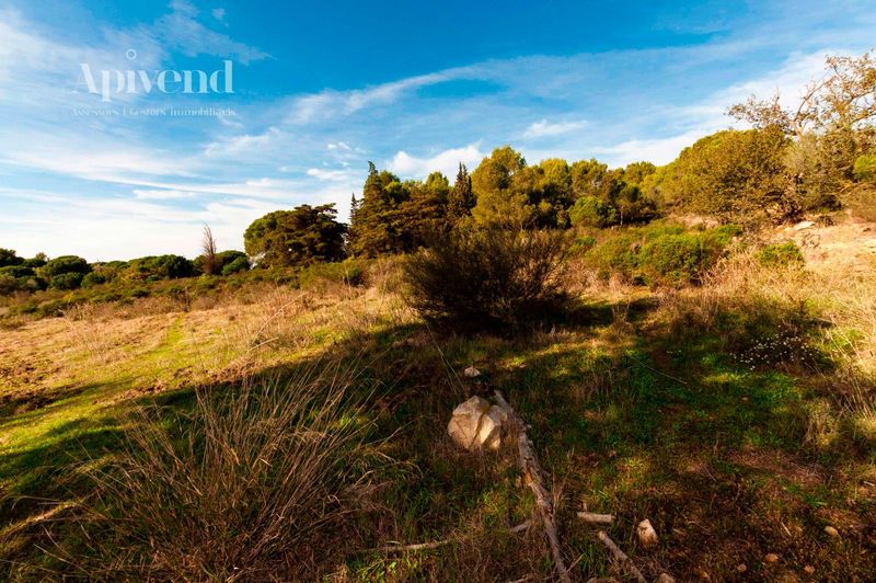 Parcela en venta Palau-Saverdera, Girona. Ref: 1299. Apivend 2000