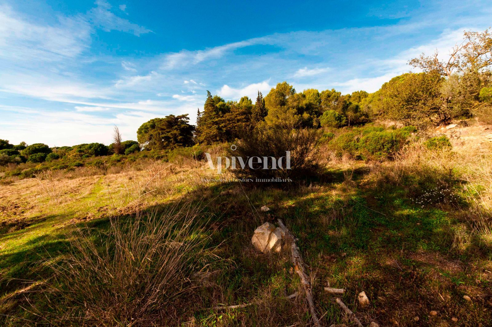 Vente Terrain Palau-Saverdera