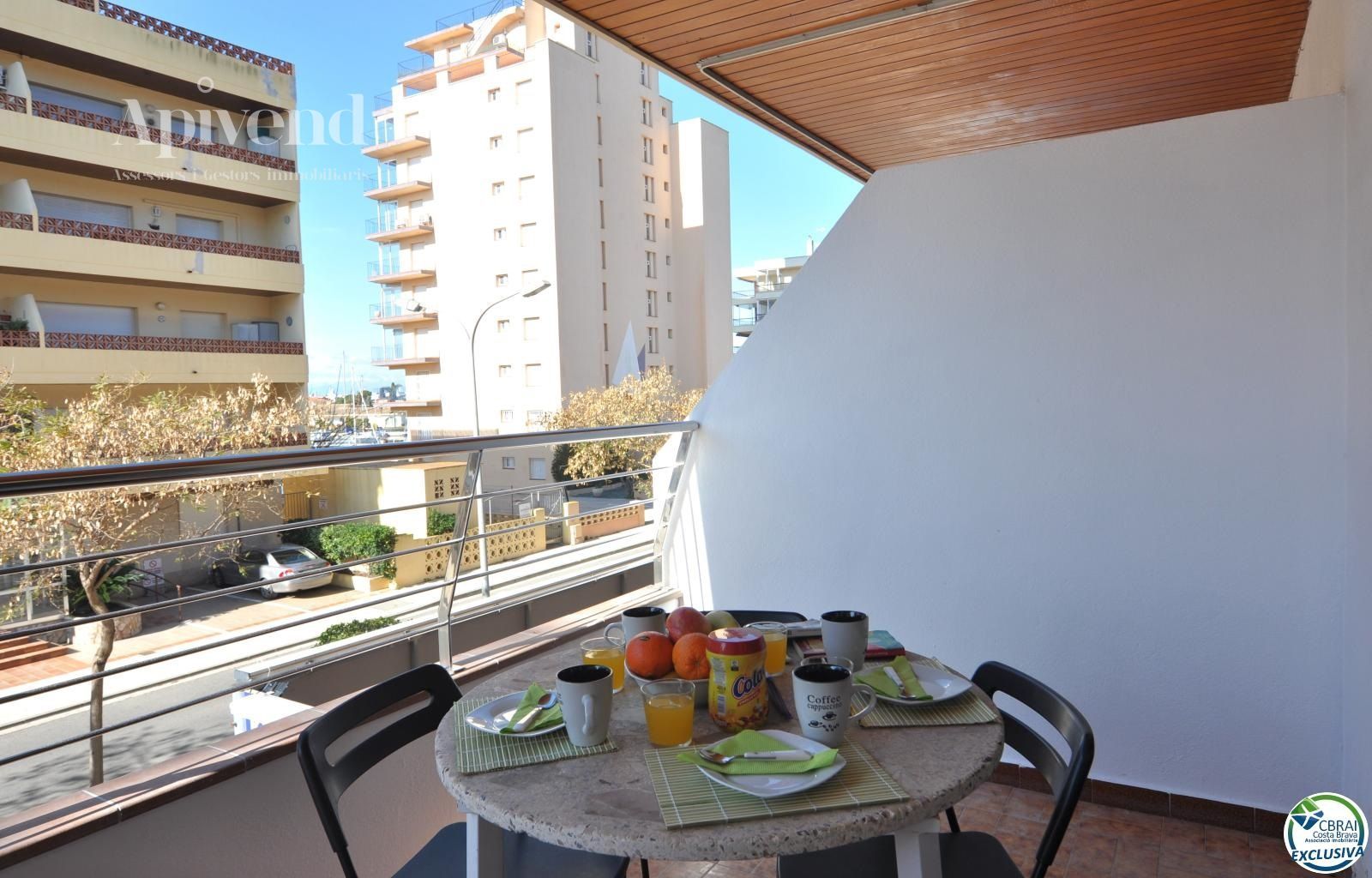 for saleStudio Roses