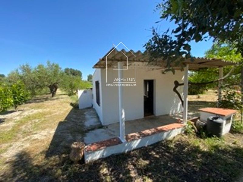 Chalet Independiente en venta Ontinyent, Valencia. Ref: 1260. Arpetun