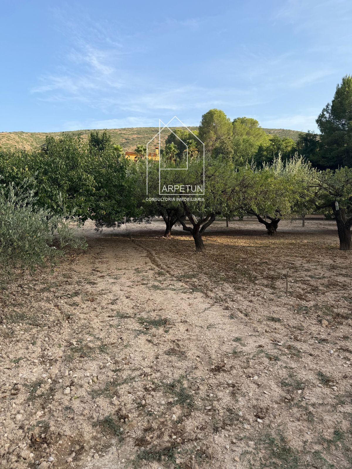 Chalet a la venta en Ontinyent
