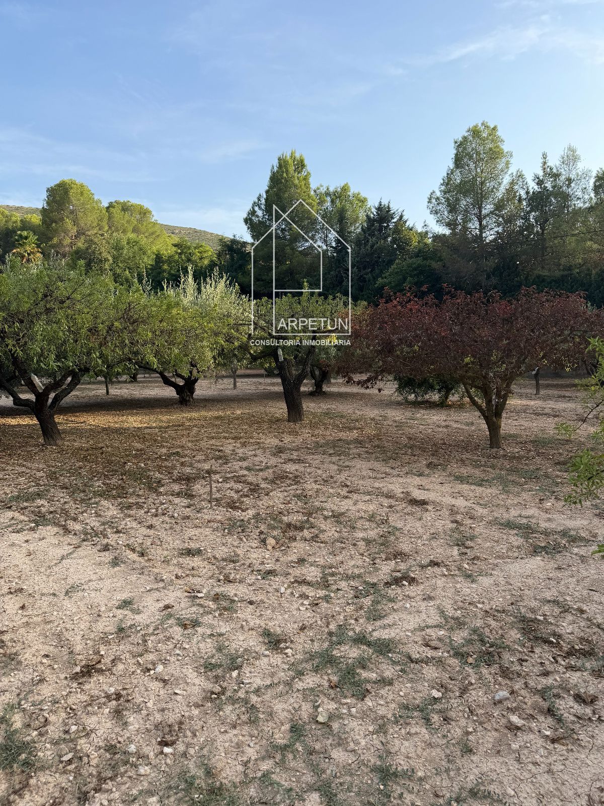 Chalet a la venta en Ontinyent