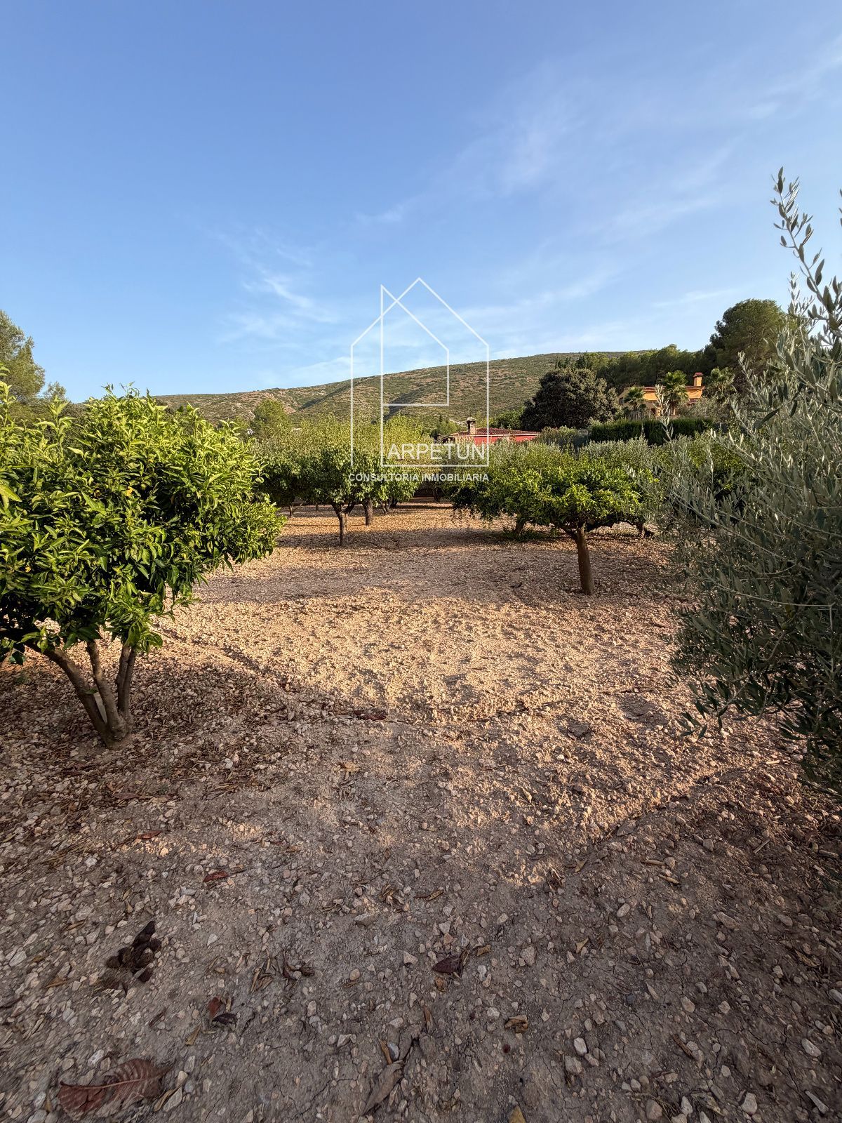 Chalet a la venta en Ontinyent