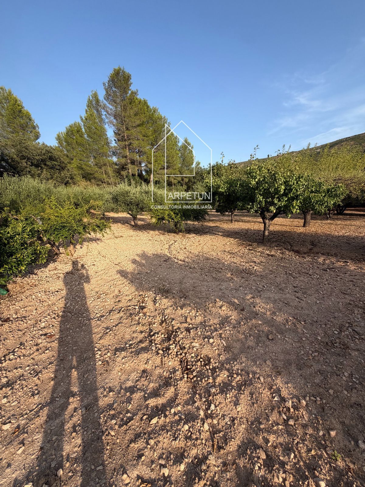 Chalet a la venta en Ontinyent