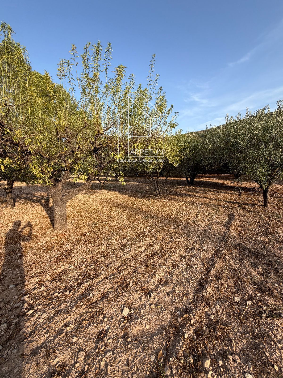 Chalet a la venta en Ontinyent