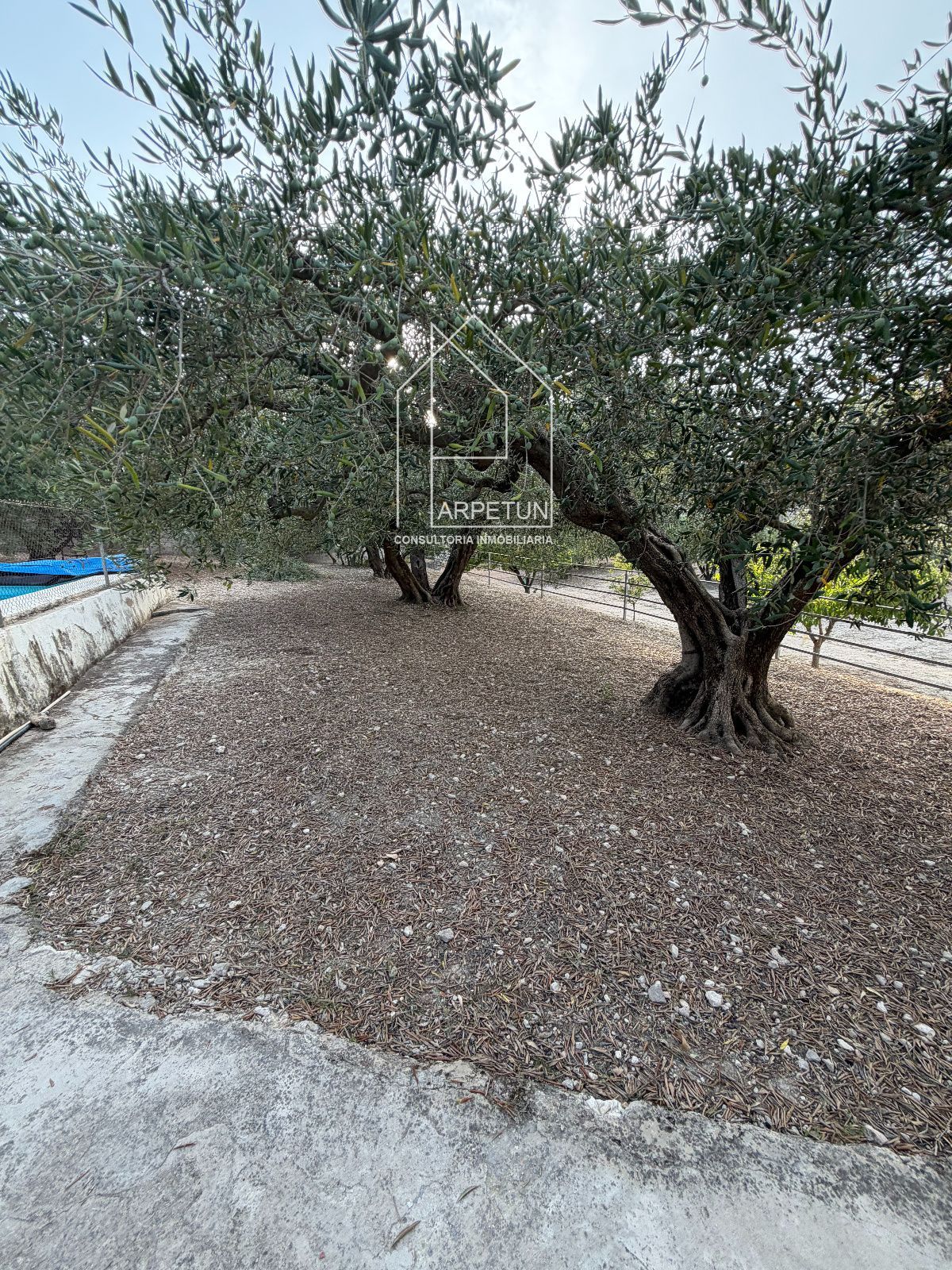 Chalet a la venta en Ontinyent