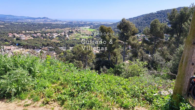 Plot for sale Palafolls, Barcelona. Ref: 1185. Asesoría Guirado