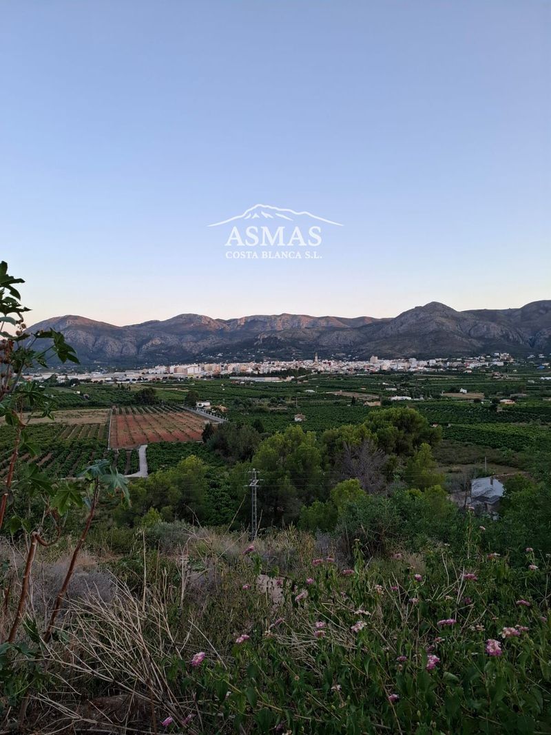 Parcela en venta Pego, Alicante. Ref: 1003. ASMAS Costa Blanca