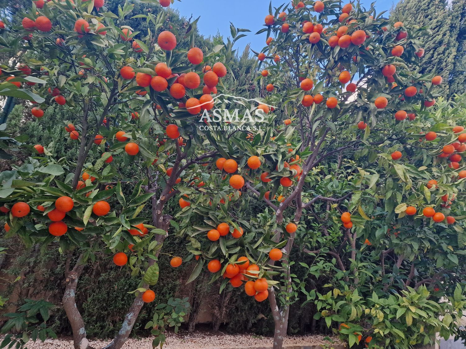 Villa Independiente Cumbre del Sol Jávea - Foto 30