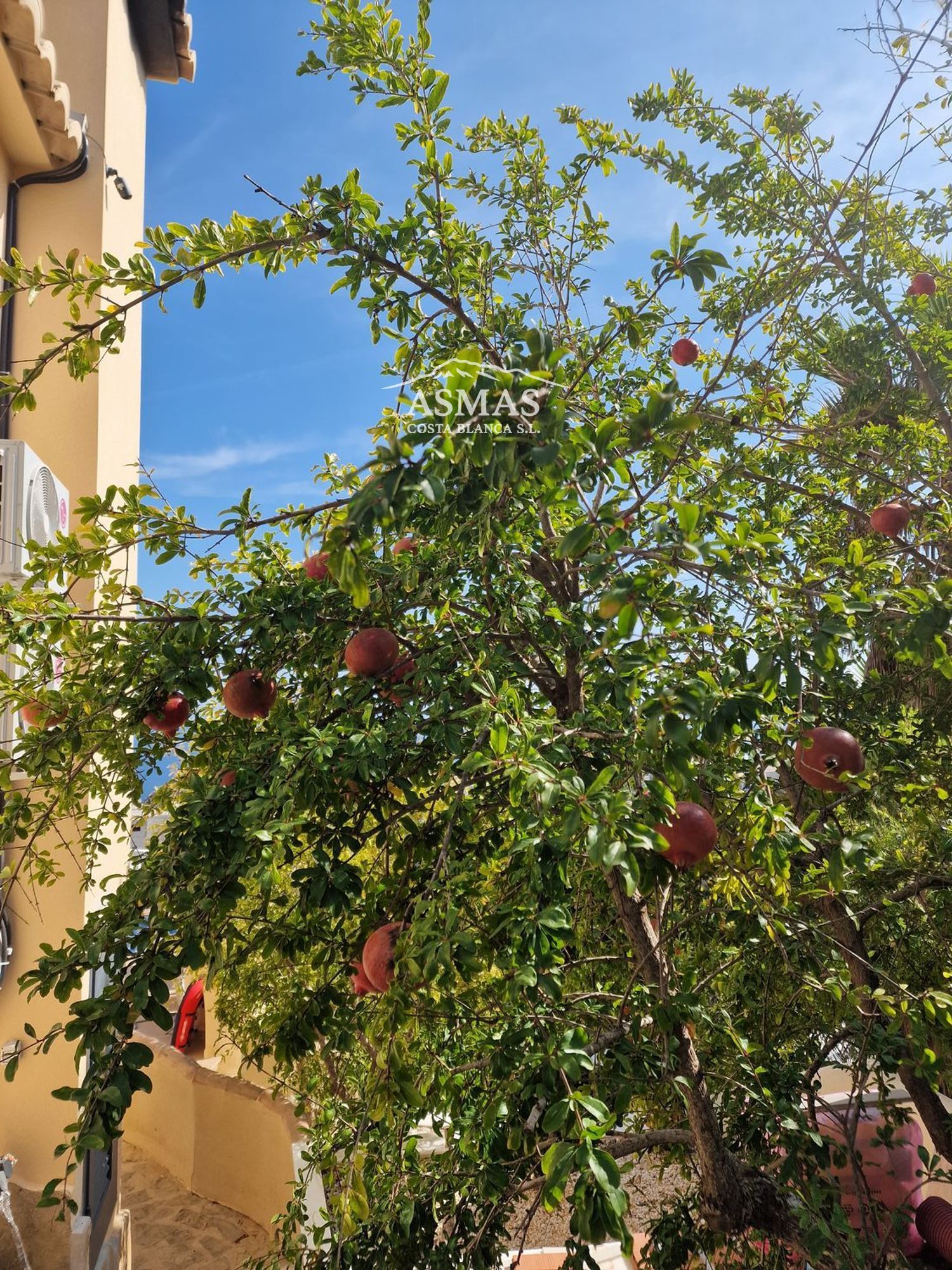 Villa Independiente Cumbre del Sol Jávea - Foto 32