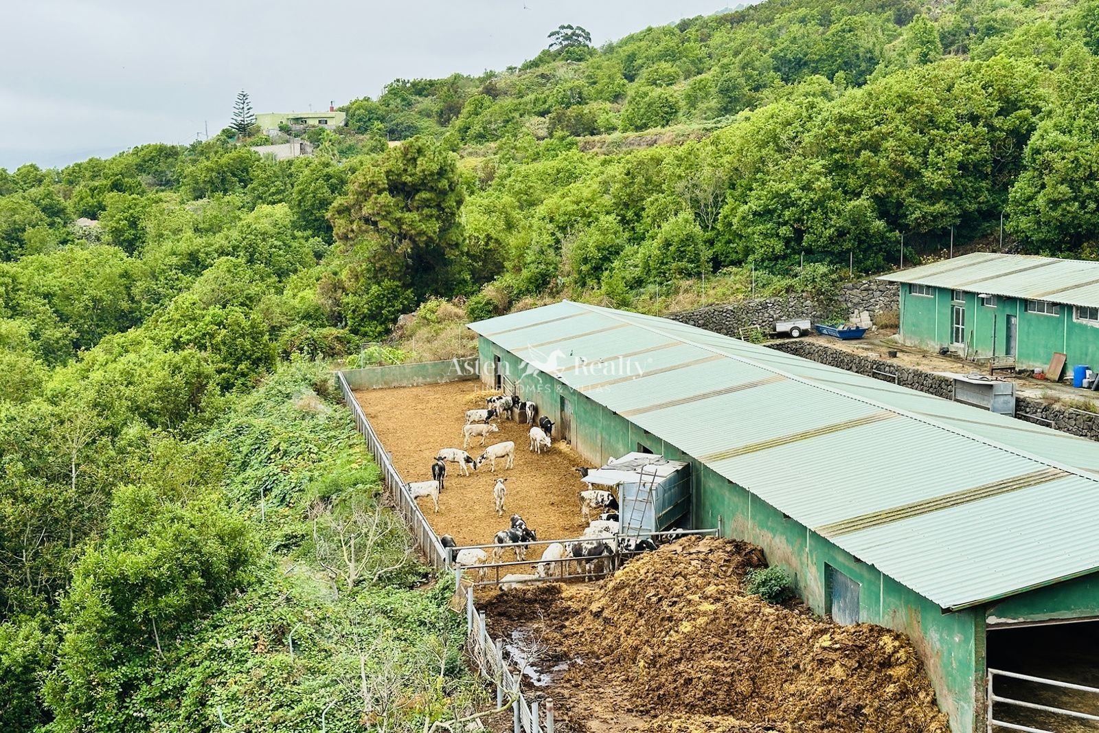 Negocio en venta Garachico, Santa Cruz Tenerife. Ref: 9539. ASTEN REALTY 