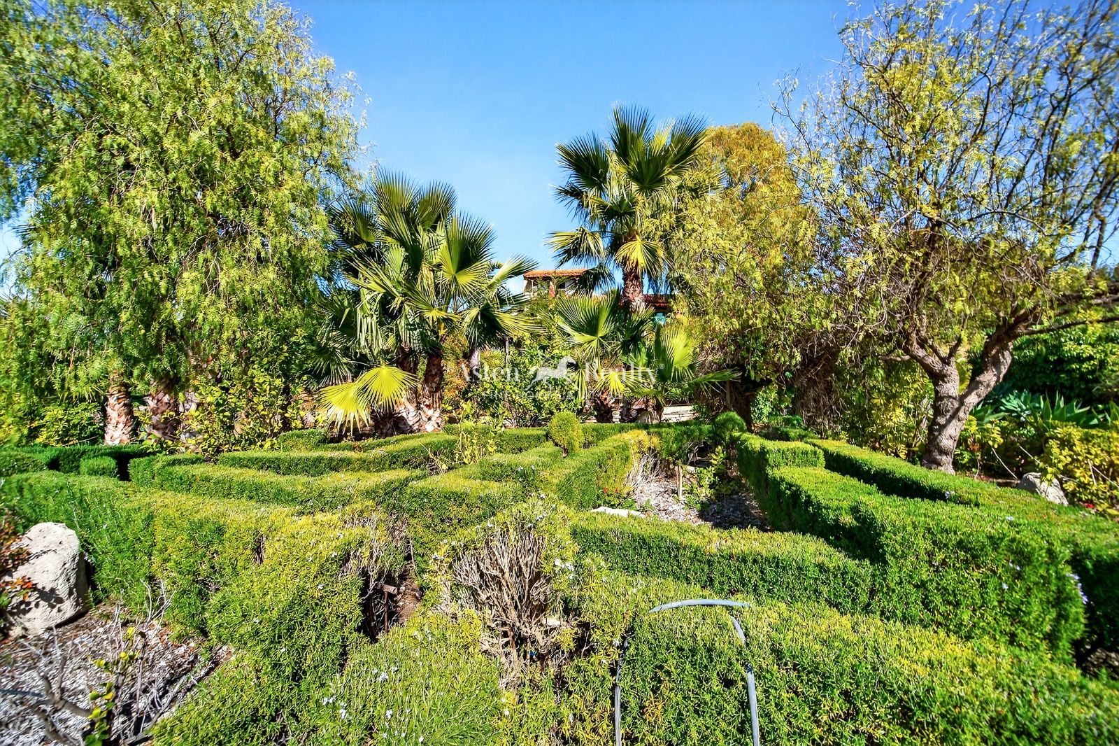 Finca en venta Vilaflor, Santa Cruz Tenerife. Ref: 9884. ASTEN REALTY 