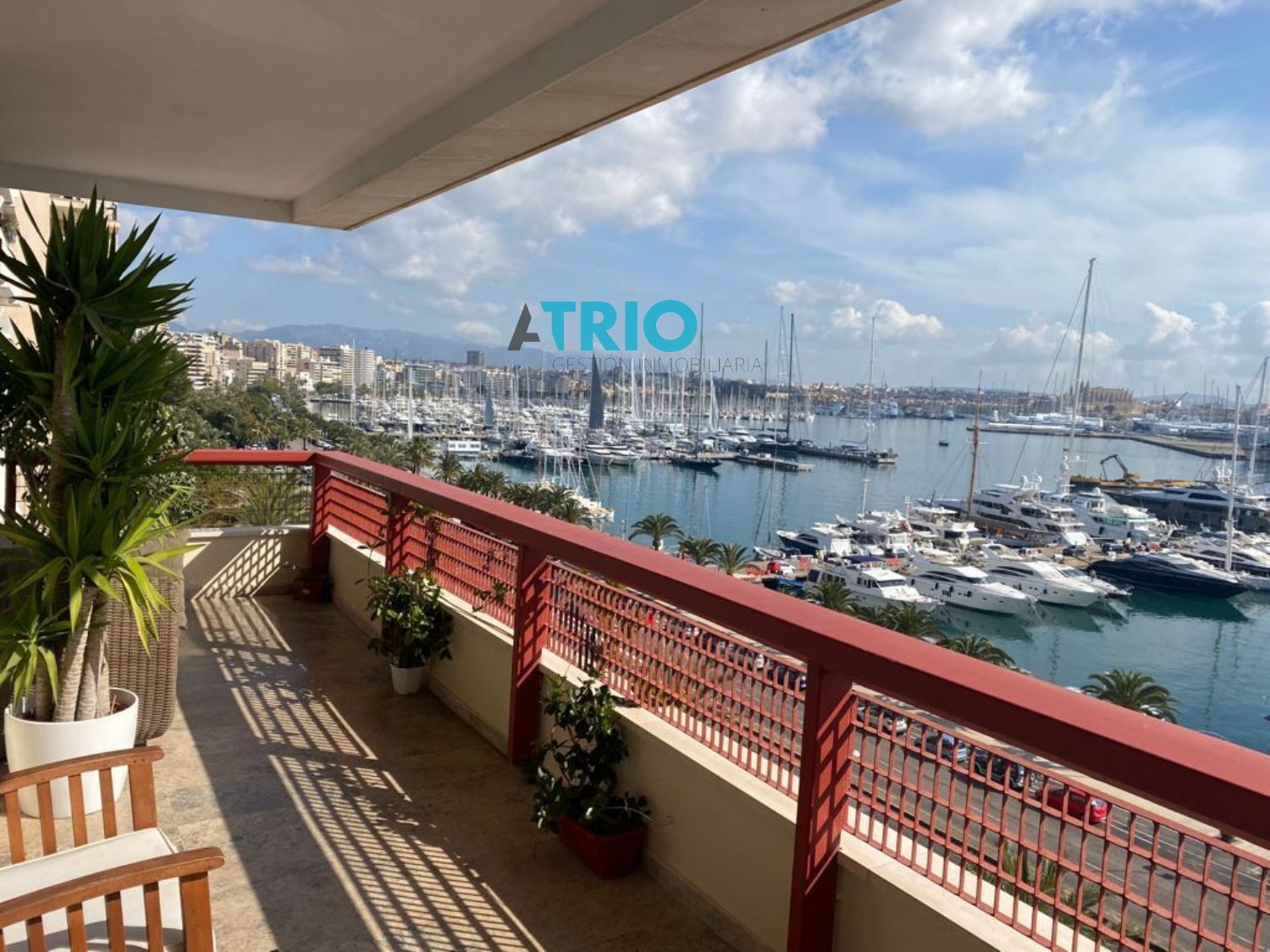 pisos en palma-de-mallorca · el-terreno €