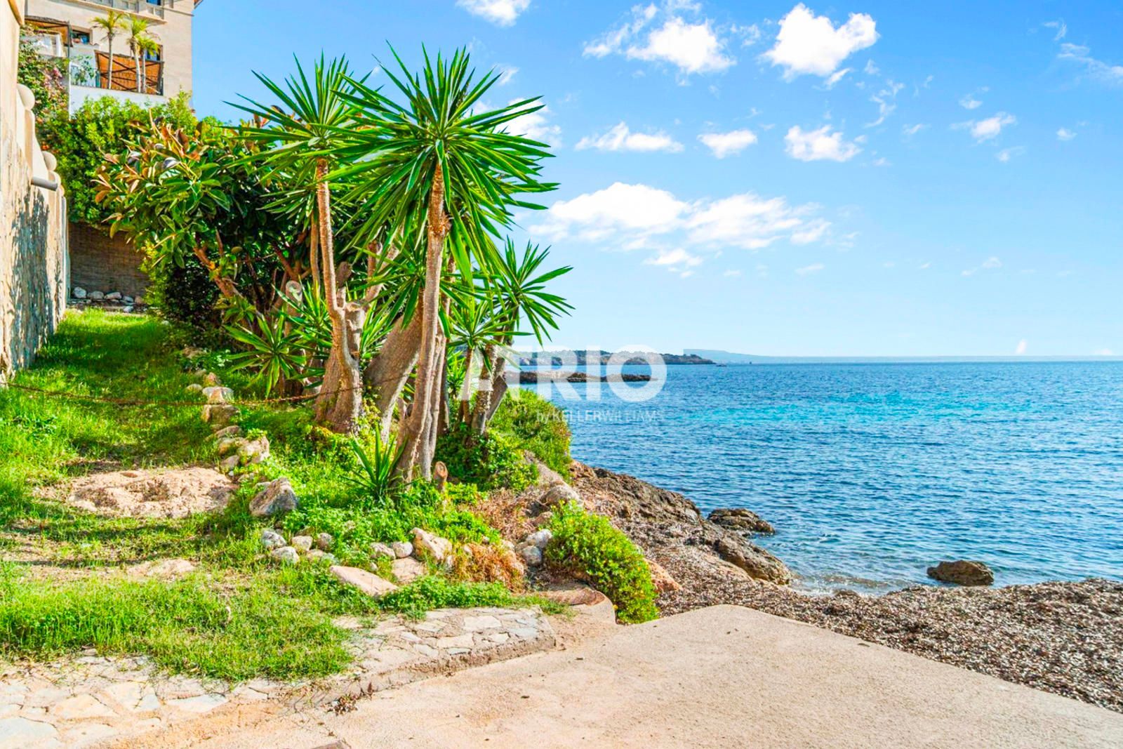 pisos en calvia · cas-catala 2650000€
