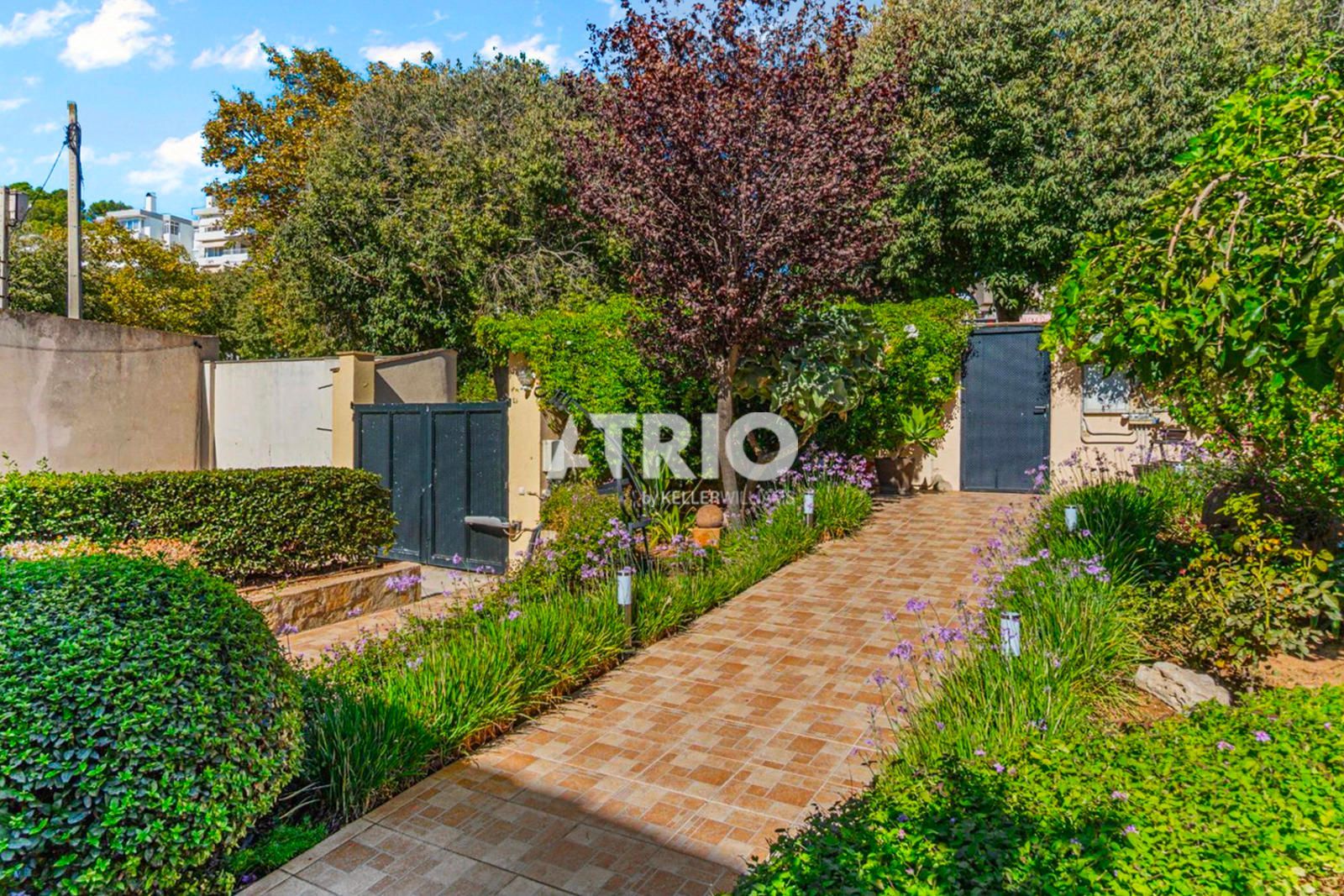 pisos en calvia · cas-catala 2650000€