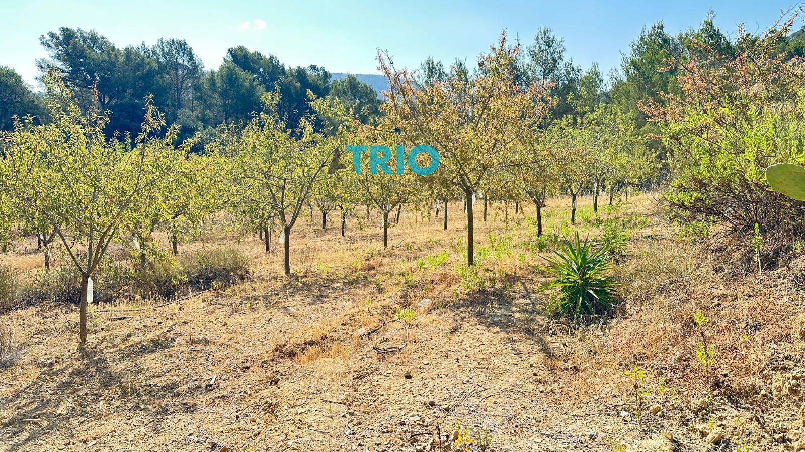 parcelas en algaida ·  78000€