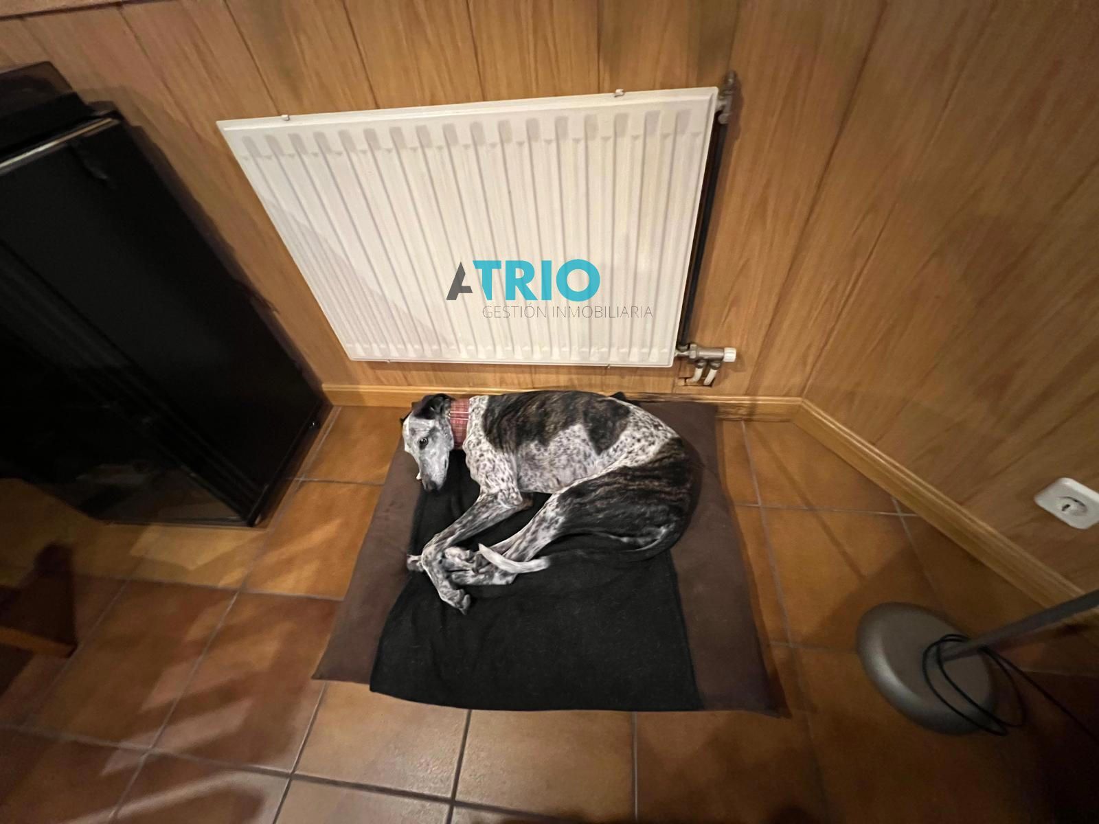 chalet en burgos · gamonal-4 295000€