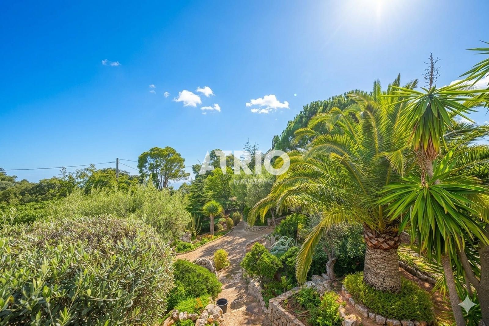 chalet en valldemossa ·  1650000€