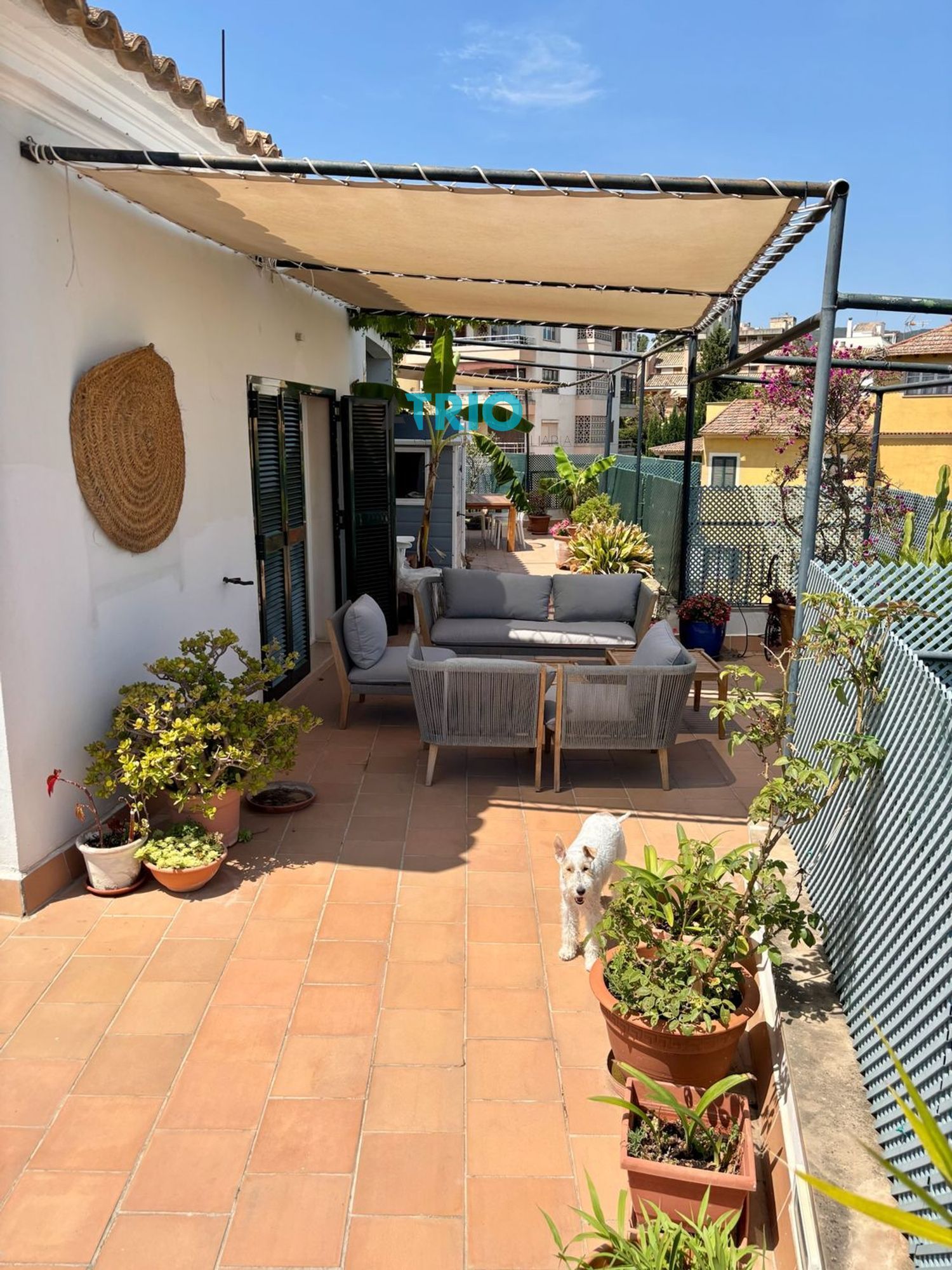 pisos en palma-de-mallorca ·  985000€