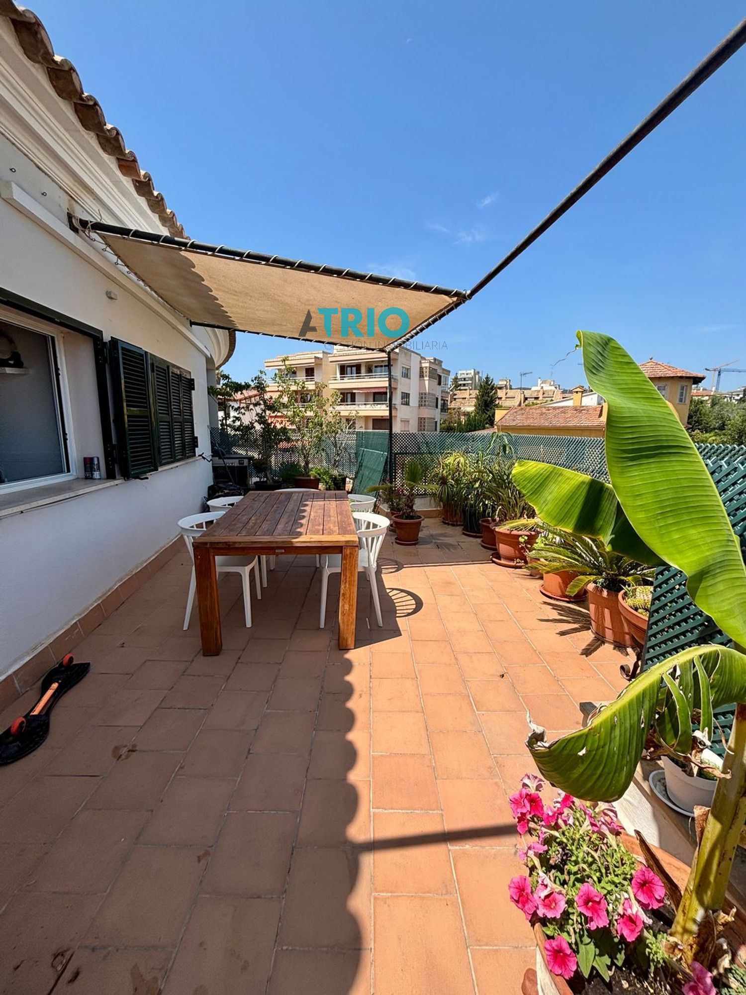 pisos en palma-de-mallorca ·  985000€