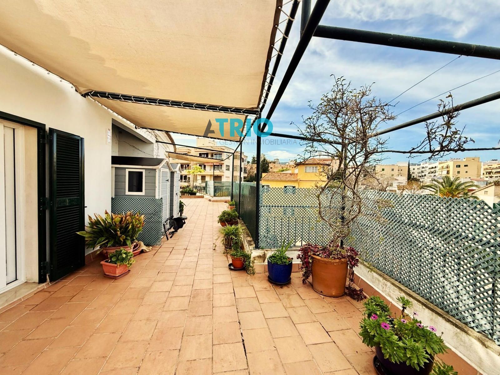 pisos en palma-de-mallorca ·  985000€