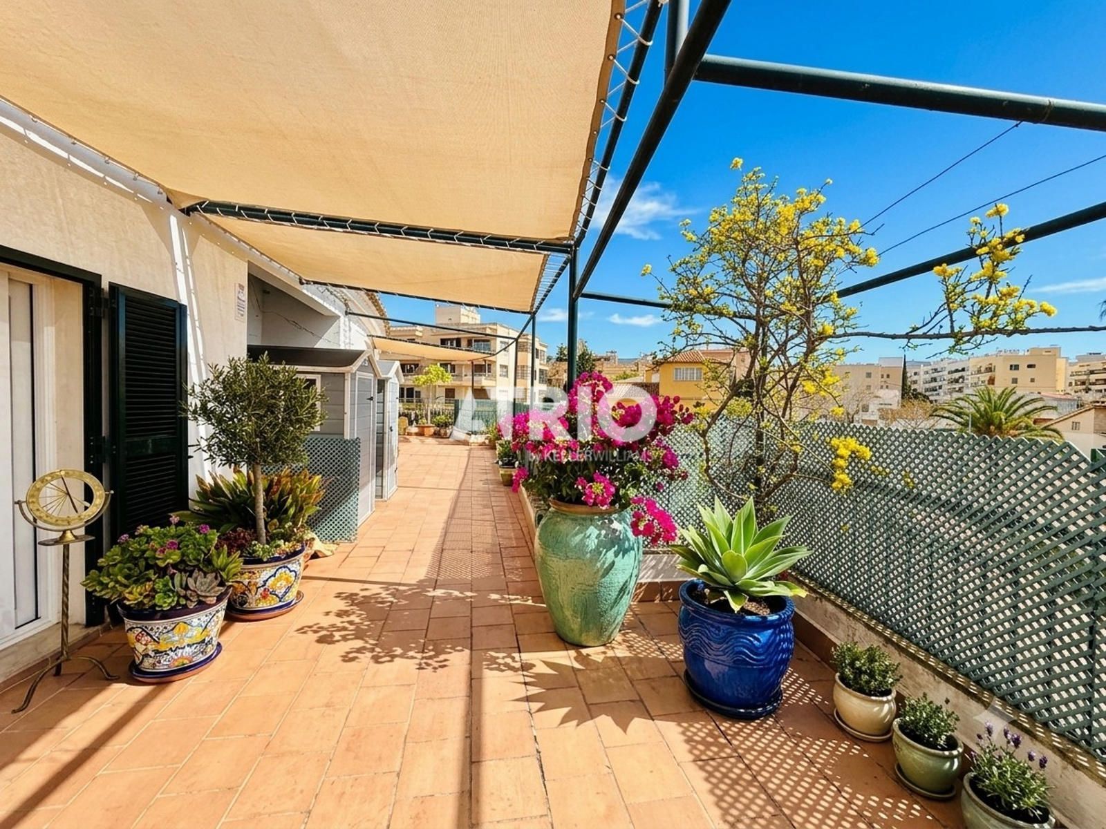 pisos en palma-de-mallorca · son-armadans 895000€