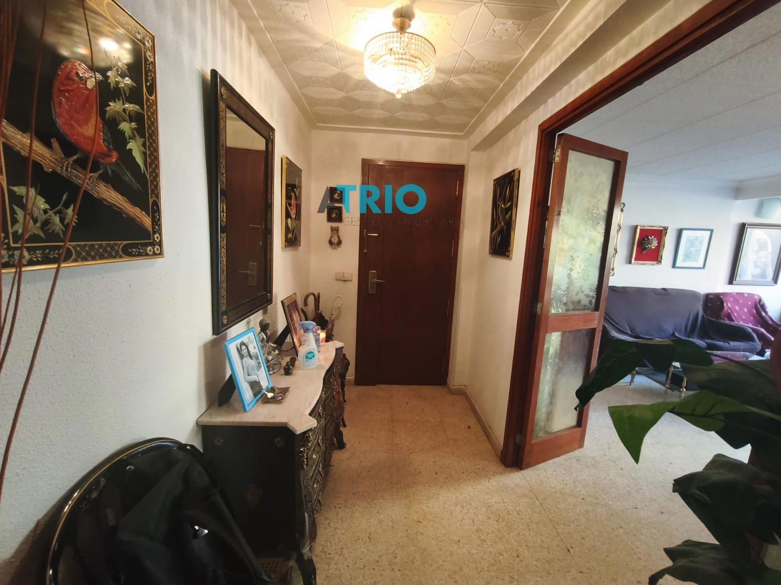 pisos en palma-de-mallorca · camp-redo 330000€