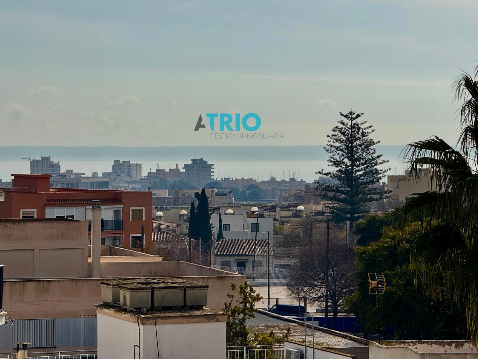 pisos en palma-de-mallorca ·  459000€