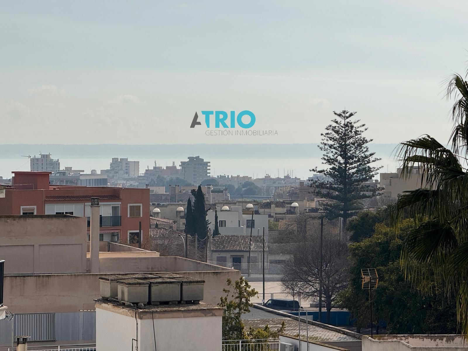 pisos en palma-de-mallorca ·  459000€