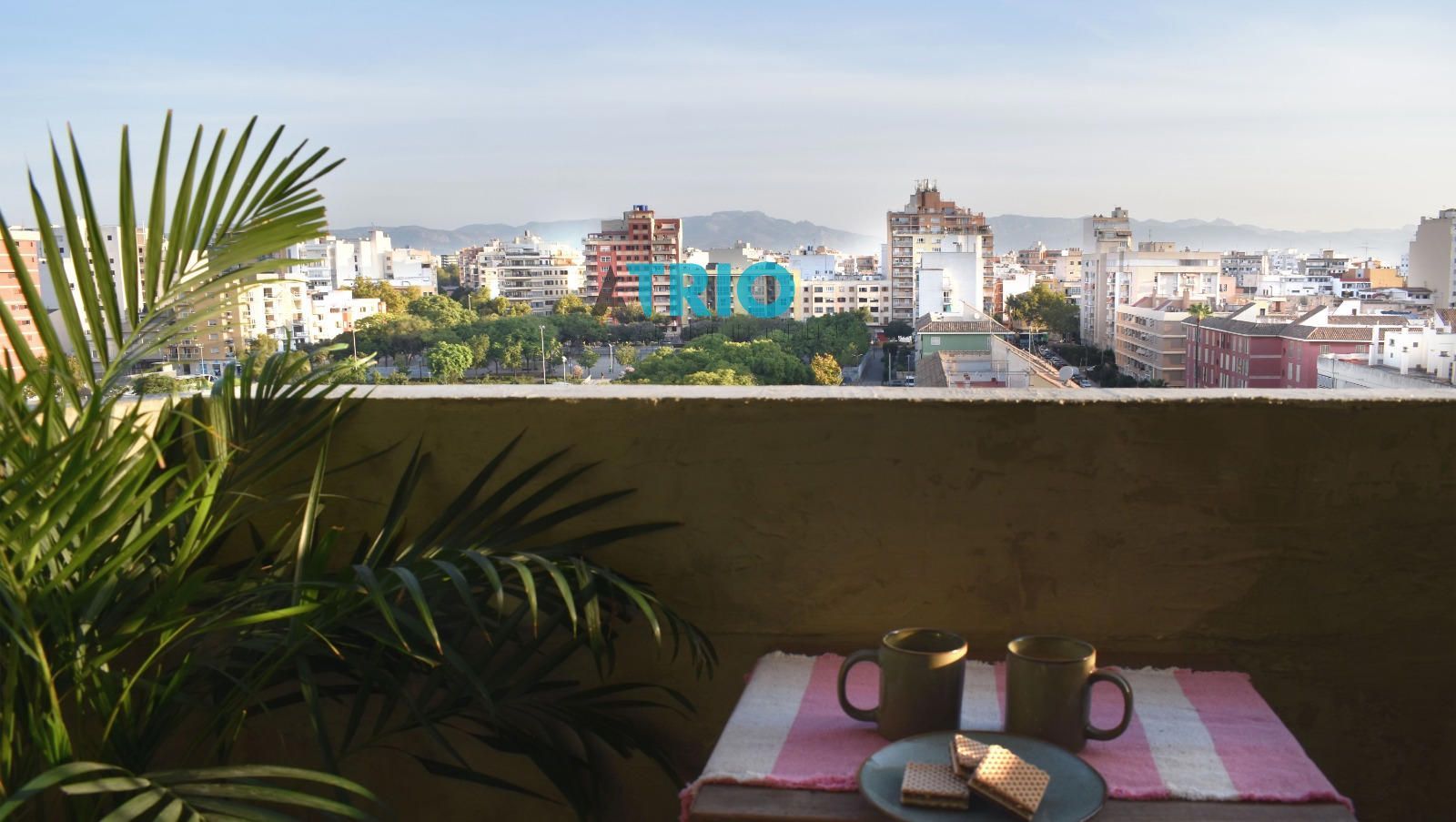 pisos en palma-de-mallorca · nou-llevant 424000€