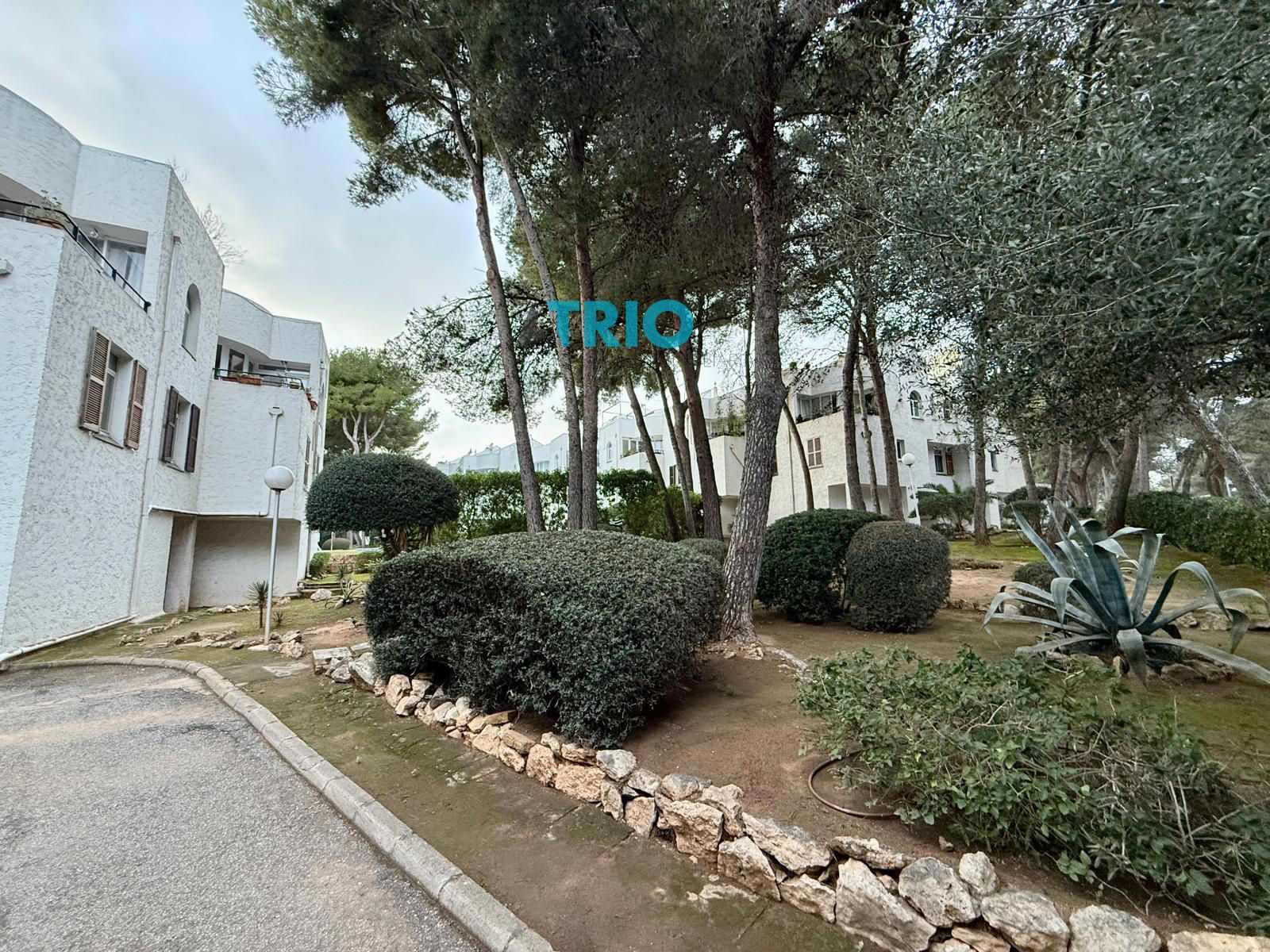 pisos en calvia · sol-de-mallorca 550000€