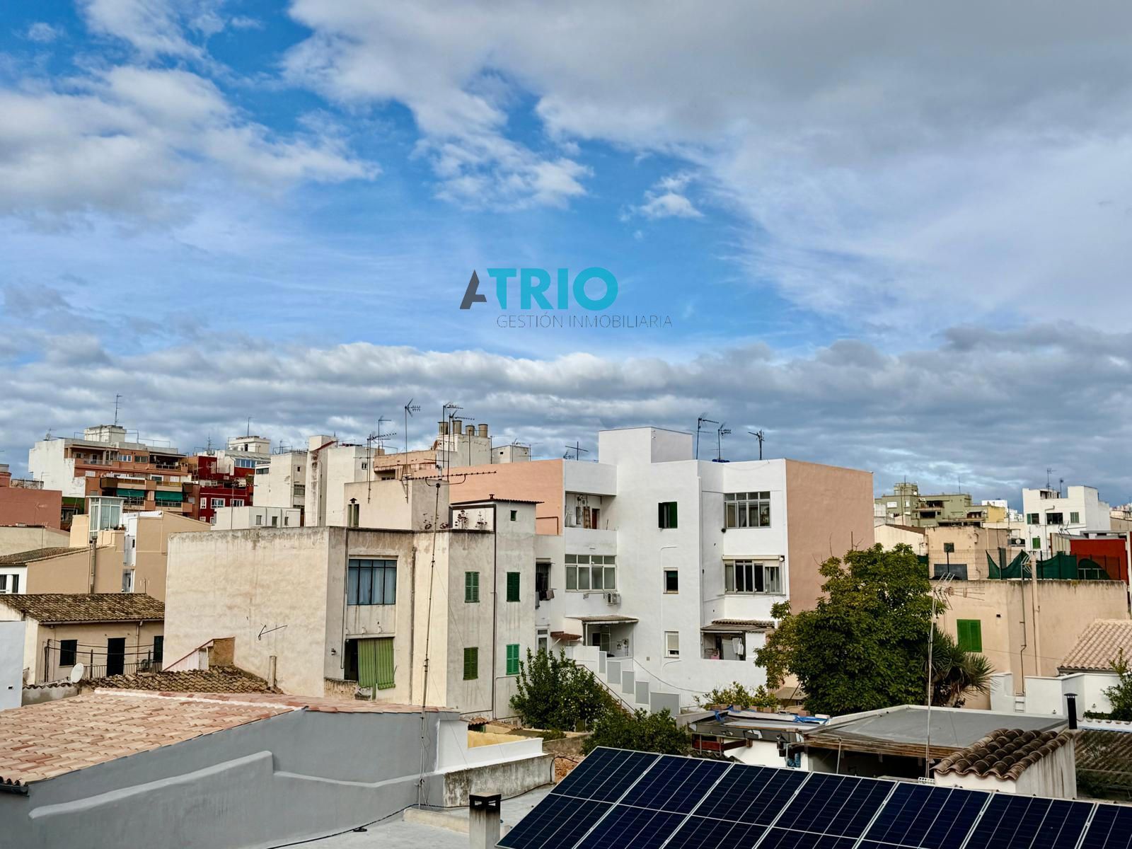 pisos en palma-de-mallorca · calle-manacor 310000€